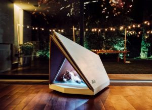 Noise-Cancelling Kennel Could Help Make Sure Your Dog Has a Happ