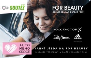 AMS NA FOR BEAUTY: fotokoláž Žena v autě.cz