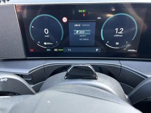 Hyundai Santa Fe: foto Žena v autě.cz_2678 ve velké velikosti