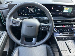 Hyundai Santa Fe: foto Žena v autě.cz_2686 ve velké velikosti