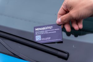 AN2_4246 ve velké velikosti