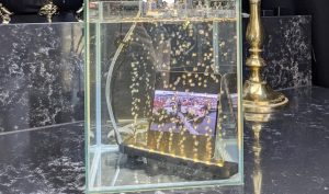 Honor Magic V5 ve vodě