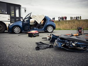 Toyota x IZS: foto Toyota