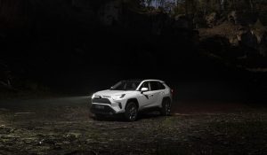 RAV4: foto Toyota