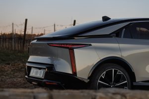 N°8(29) ve velké velikosti