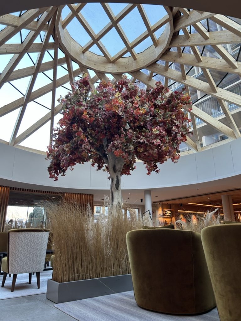 Hotel Falkensteiner Kronplatz: Foto Žena v autě.cz_0492 ve velké velikosti