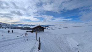 WhatsApp Image 2026-02-03 at 15.58.41 (9)