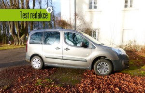 TestAuto