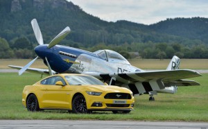 mustang2 (2)
