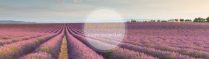 provence (1)